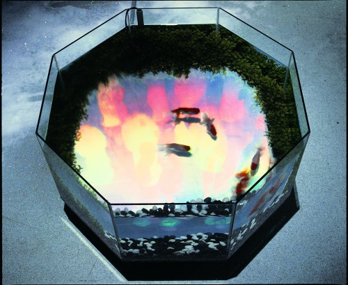 [Electronic Garden] Fish, hologram, water tank, glass fishbowls